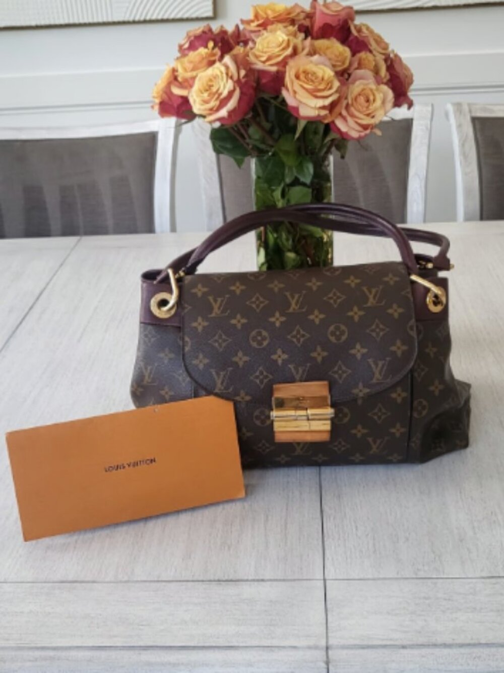 Louis Vuitton Authentic Bag